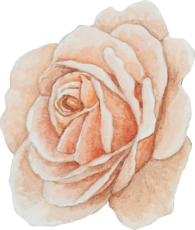 Watercolor Orange Rose