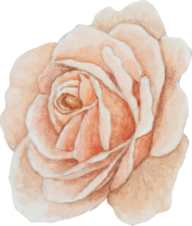 Watercolor Orange Rose